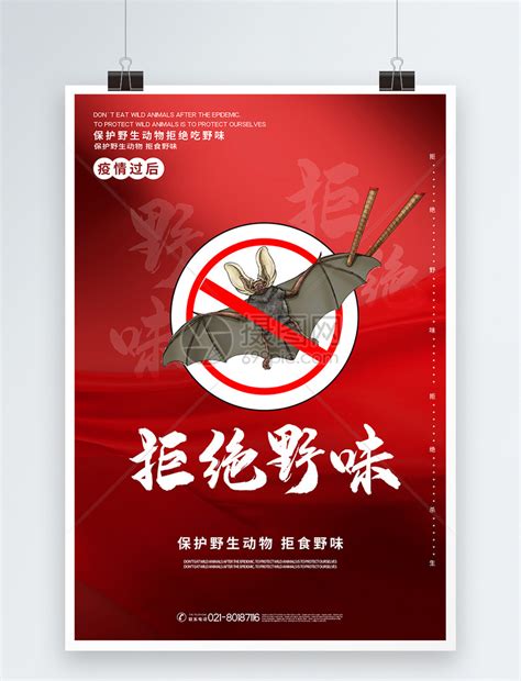 拒绝野味保护野生动物宣传海报模板素材-正版图片401692936-摄图网