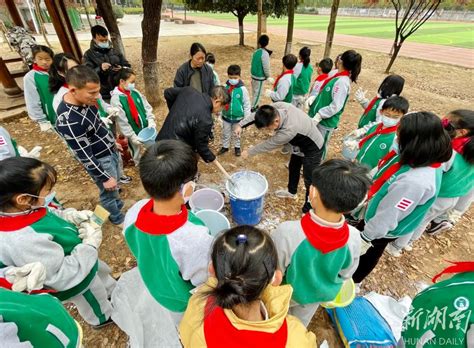 认领一棵树，相约共成长——溧城中心幼儿园中班组开展“植树节”主题活动