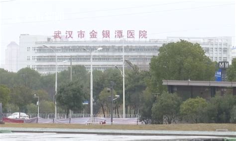 从疫情爆发到大年三十，武汉的25天_凤凰网