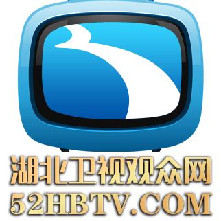 湖北卫视 - 精鹰传媒集团