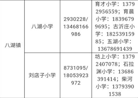 临沂市河东区八湖镇第七届荷花文化节开幕 - 山东文旅网