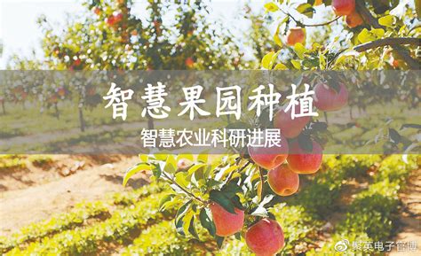 丰收的果园,秋天丰收的果园,秋天丰收的果园简笔画_大山谷图库
