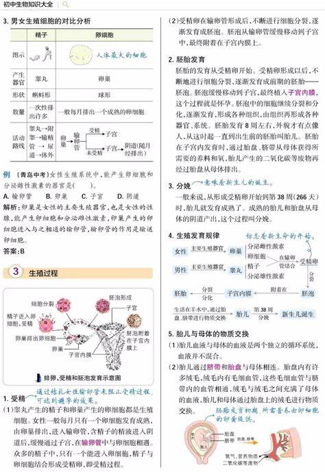 七年级下册生物知识点抄写