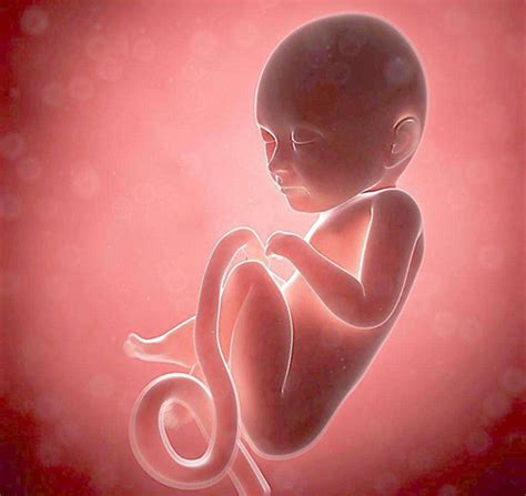 胎盘钙化和胎盘老化，哪一个对胎儿危害大？ - 好孕无忧