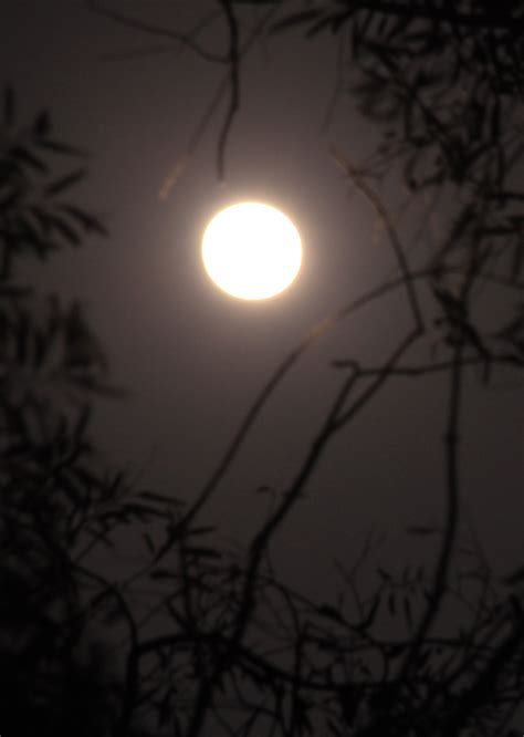 秋夜月图片