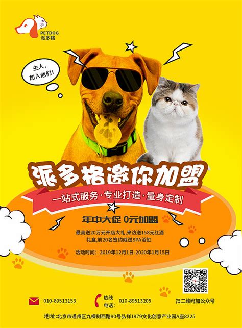 宠物店铺促销海报模板素材-正版图片400179183-摄图网