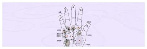 手相：手指上的斗和簸箕两种指纹，你属于哪种？