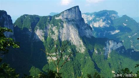【中国最“绿”的省份，森林覆盖率连续40年全国第一| 来源：网搜】_傻大方