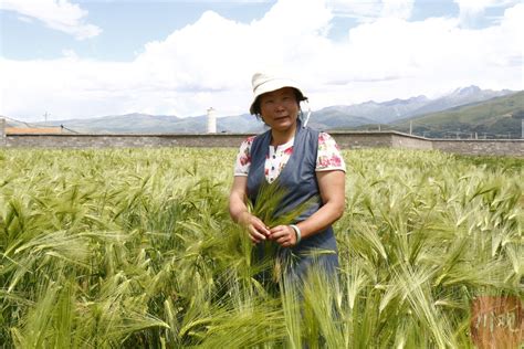 在广东遇见西藏，林芝农产品站上食博会打擂台_南方网