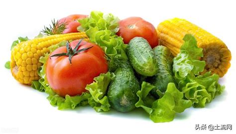 今日蔬菜价目表价格表