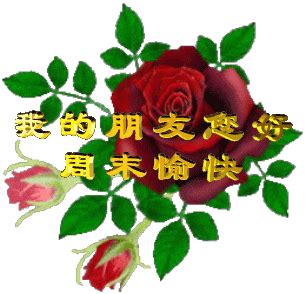 中午好的图片