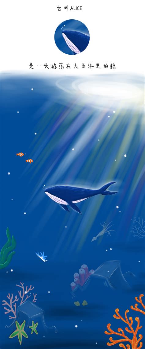 鲸鱼ALICE的故事|插画|商业插画|一朵云馆长 - 原创作品 - 站酷 (ZCOOL)