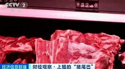 12月猪肉价格为什么反弹 年底猪肉涨价的原因 _八宝网