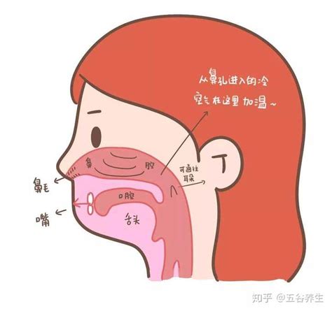 鼻子为什么会不通气？是鼻炎导致的吗？ - 广州市赛凌医药科技有限公司
