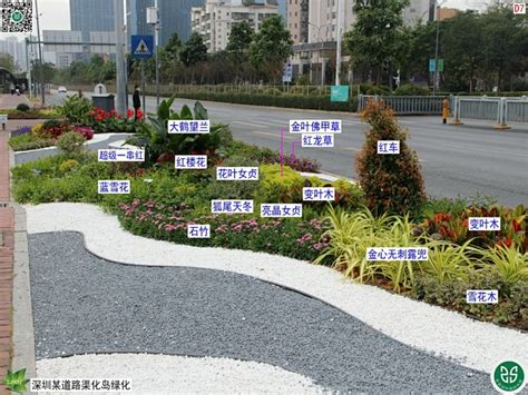 绿化植物种植施工方法_深圳市华汇艺园林规划设计有限公司