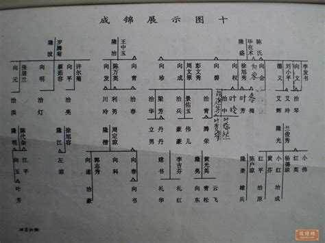 常见的四种古代家谱格式【古式风格，浓厚文化底蕴】-家谱格式-中国家谱网