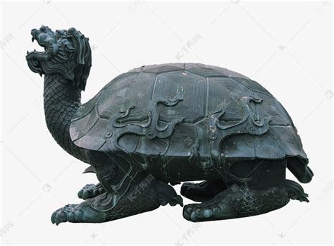 龙龟图片