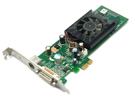 Amazon.com: PNY nVidia GeForce 8400 GS 512 MB PCI Video Graphics Card ...