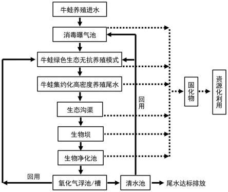 广东澄海牛蛙深水养殖流程-成功养殖模式介绍-利洋水产