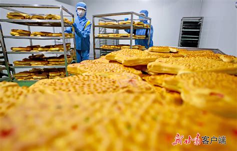 甘肃张掖：玉米种子加工忙-人民图片网