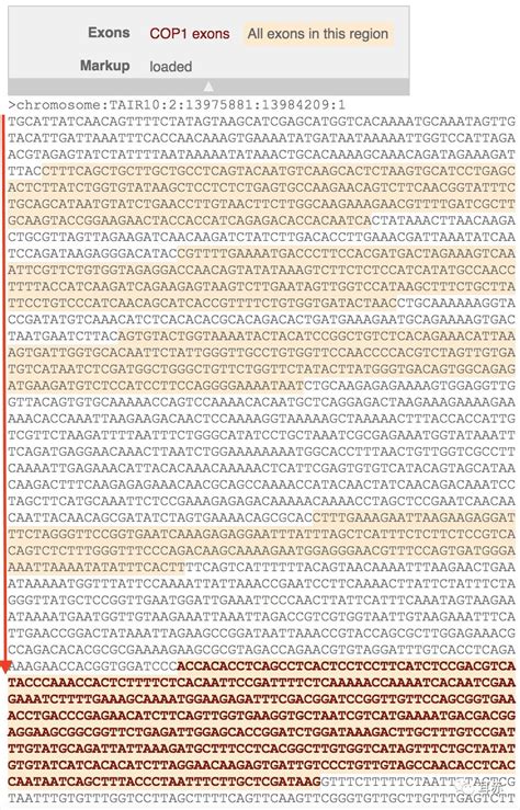 ncbi查找目的基因序列_基因CDS查找与选择-CSDN博客