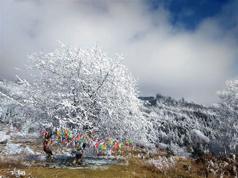 硗碛藏寨·神木垒——神仙玩耍的地方-北纬网（雅安新闻网）