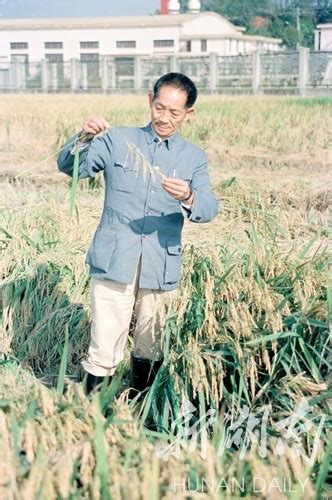“杂交水稻之父”袁隆平去世 享年91岁_凤凰网视频_凤凰网