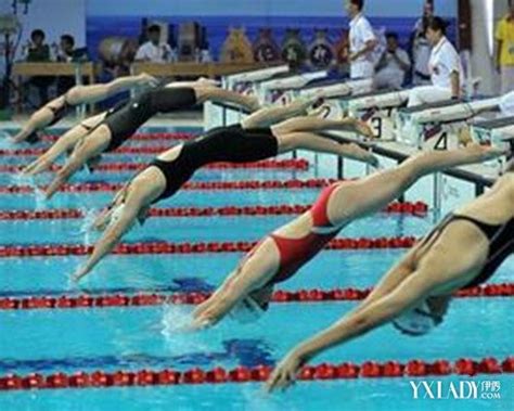 准备跳水的游泳运动员高清图片下载-正版图片502046809-摄图网