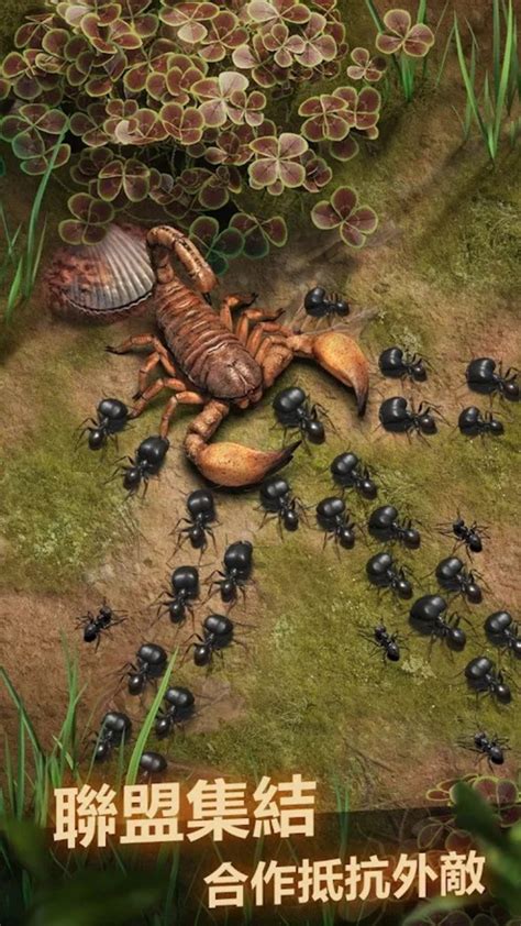 小小蚁国：来拥有蚂蚁大军 - 小小蚁国-送极品蚂蚁-小米游戏中心