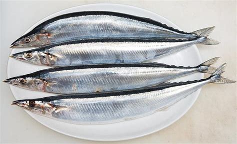 【沙丁鱼干怎么做好吃】【图】沙丁鱼干怎么做好吃？ 4个简单做法让你尝到美味_伊秀美食|yxlady.com
