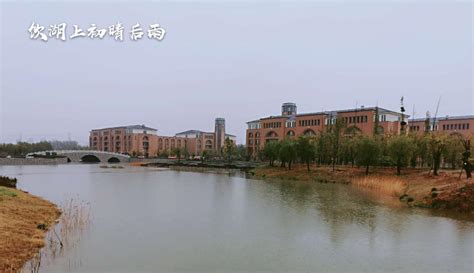 11-濮阳医学高等专科学校官方网站