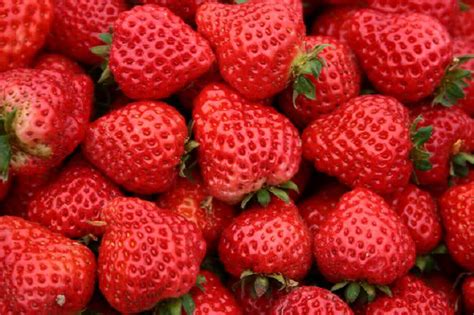 奶油草莓和普通草莓的区别，草莓是热性还是凉性 - 健康常识 - 每天一个健康小知识