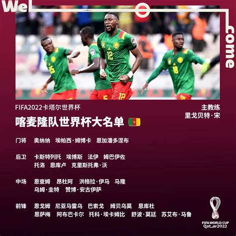 喀麦隆国家队最新消息(通过世界杯预算赛）_搜视网
