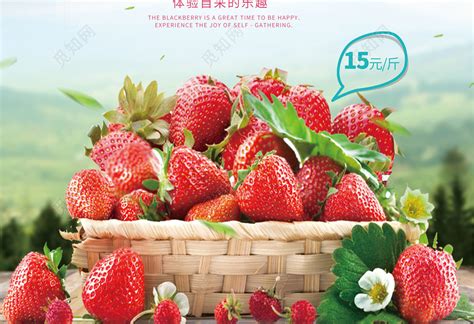 2017中国临沂草莓大会会徽和吉祥物发布-logo11设计网