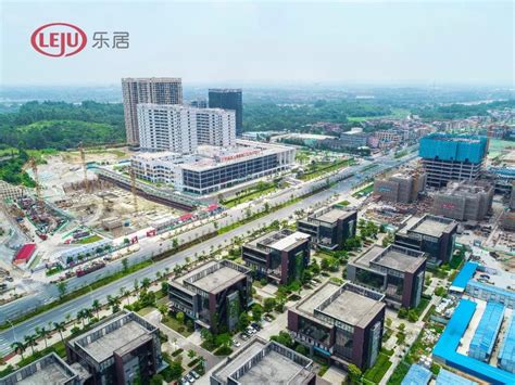 广州增城：持续推进“智慧+绿色”交通建设