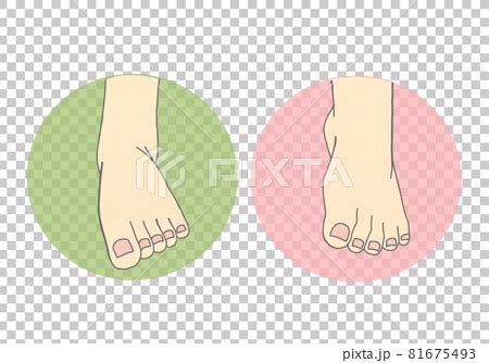 Ankle pronation and supination (adduction and... - Stock Illustration ...