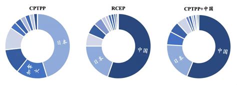 签署RCEP又申请“入群CPTPP”： 什么是亚太地区的贸易之“群”？ - 研究资讯 - 复旦大学一带一路及全球治理研究院