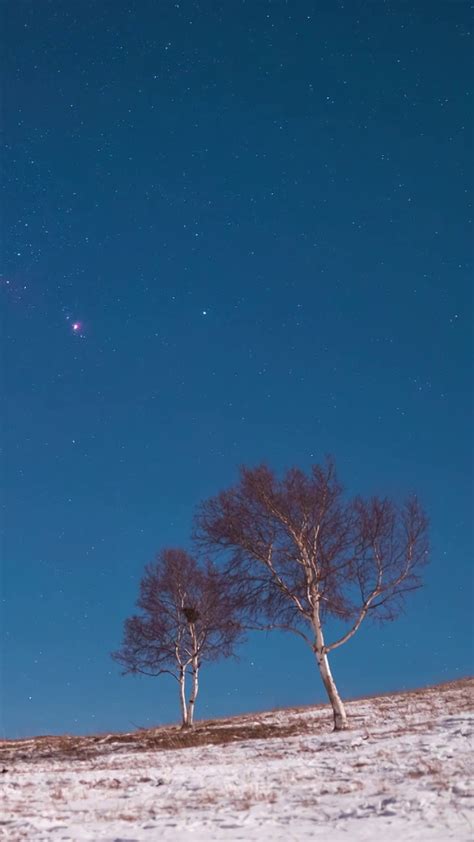 天琴座流星雨于4月16日开始，照亮了春天的夜空