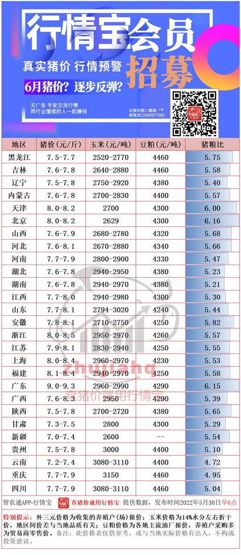 30日 猪价节节下挫！节前猪价有望反弹？农业资讯-农信网