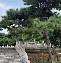 关于北京302医院、西城区挂号号贩子联系方式第一时间安排的信息 关于北京302医院、西城区挂号号贩子联系方式第一时间安排的信息