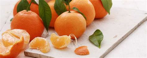 橘子是凉性还是热性 橘子是凉性还是热性的食物_知秀网