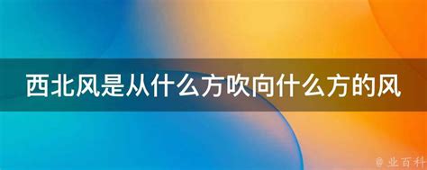 西北风的图片