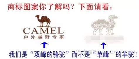 camel骆驼是哪个国家的品牌