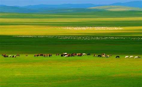 【大美内蒙古】观草原湿地，看中俄边疆之美，感受祖国壮美景观-额尔古纳旅游攻略-游记-去哪儿攻略
