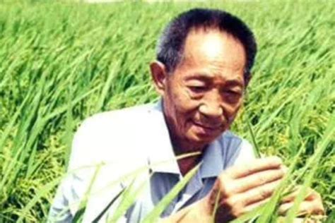 国人的骄傲！90岁高龄的袁隆平，每天都要奔波研究水稻，纪录片_腾讯视频