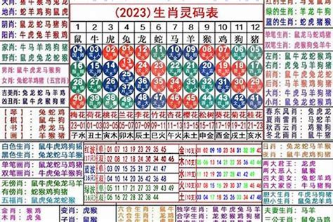 2023年十二生肖号码表_财运_若朴堂文化