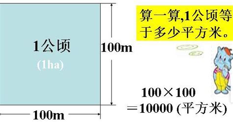一平方米等于多少平方厘米 所以1平方米=10*10=1