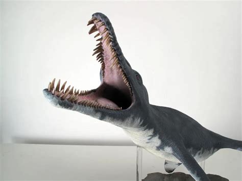 远古十大恐怖猛兽排名：巨齿鲨一枝独秀，沧龙第二(3)_巴拉排行榜