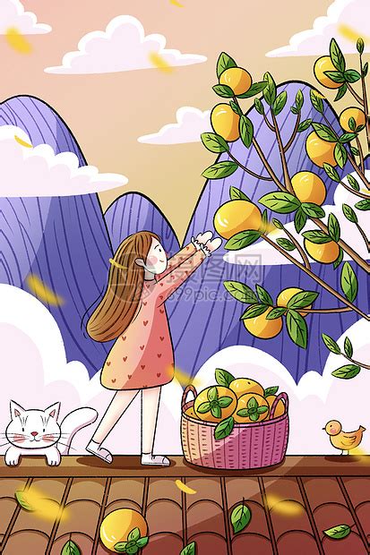 白露女孩摘柿子插画图片下载-正版图片401783497-摄图网