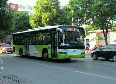 蓬莱市政府 交通查询 5路公交车线路